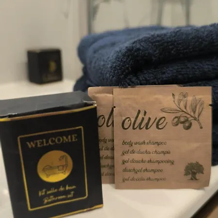 Royal Lux Spacious Seaside Pool 公寓 尼斯